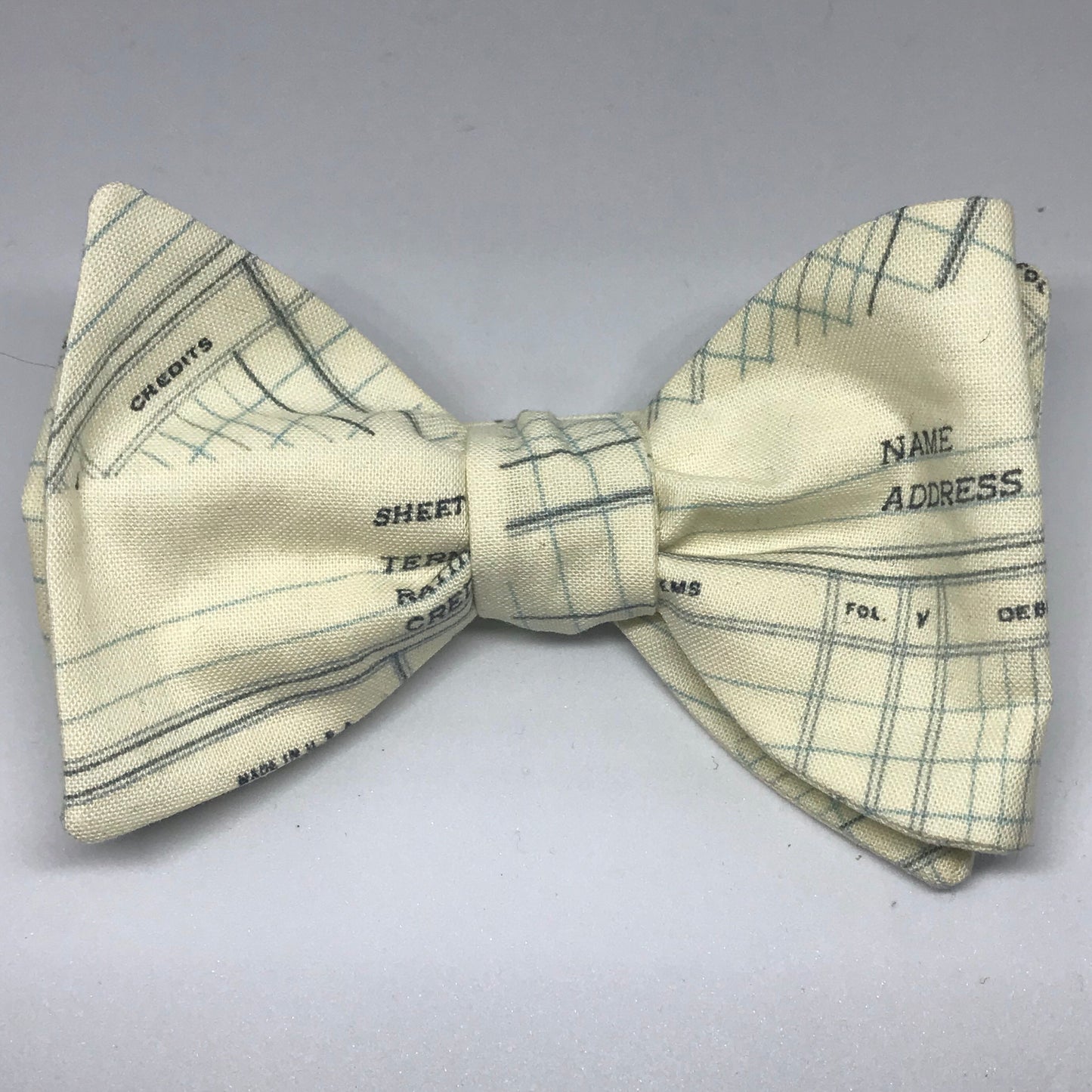 They’re Accounting on You Bow Tie