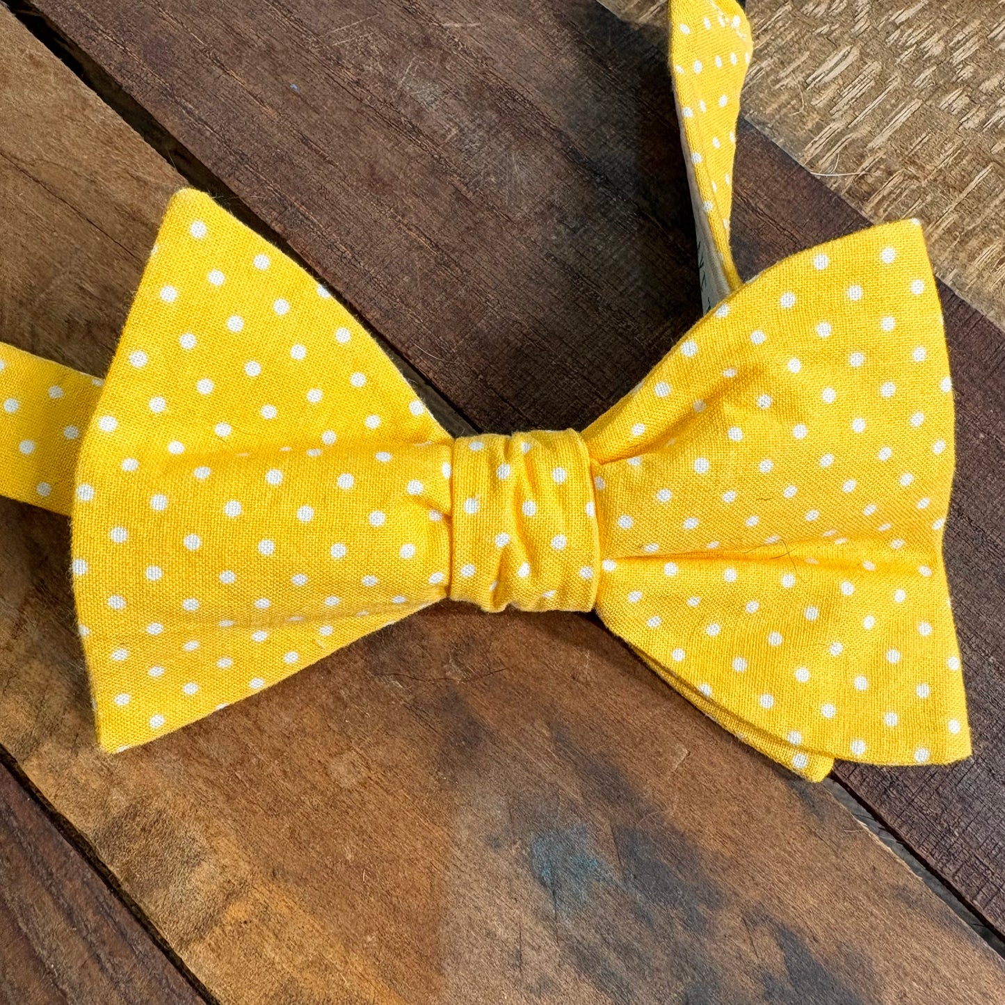 $5 Big Ol’ Clip-on Bow Ties
