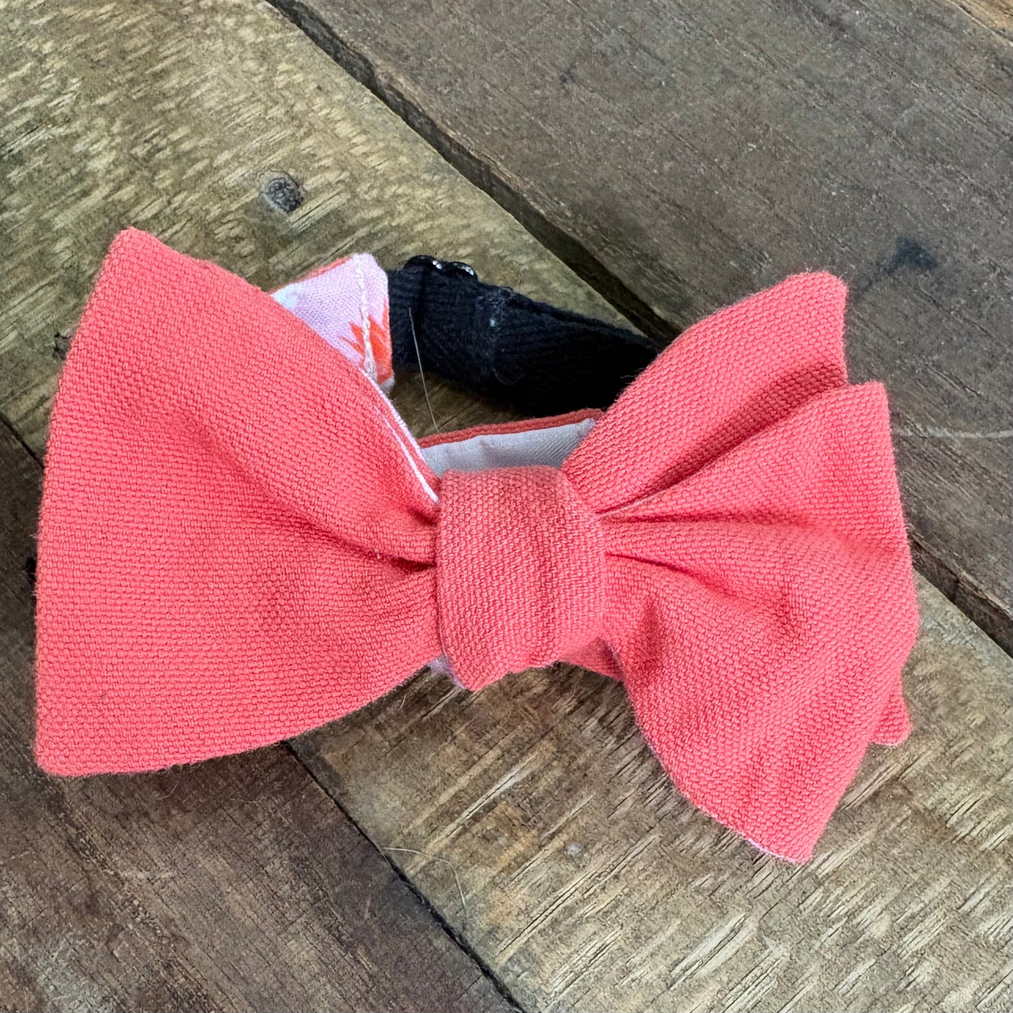 $15 Coral Bow Ties
