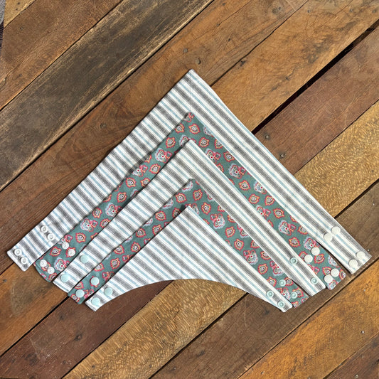 Paisley and Stripes Pet Bandana