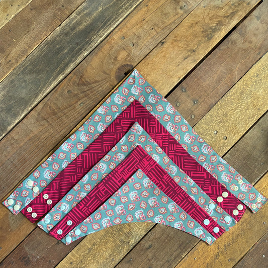 Paisley Pet Bandana