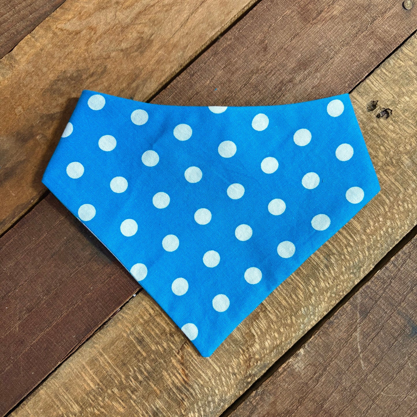 Teal and Pastel Pet Bandana