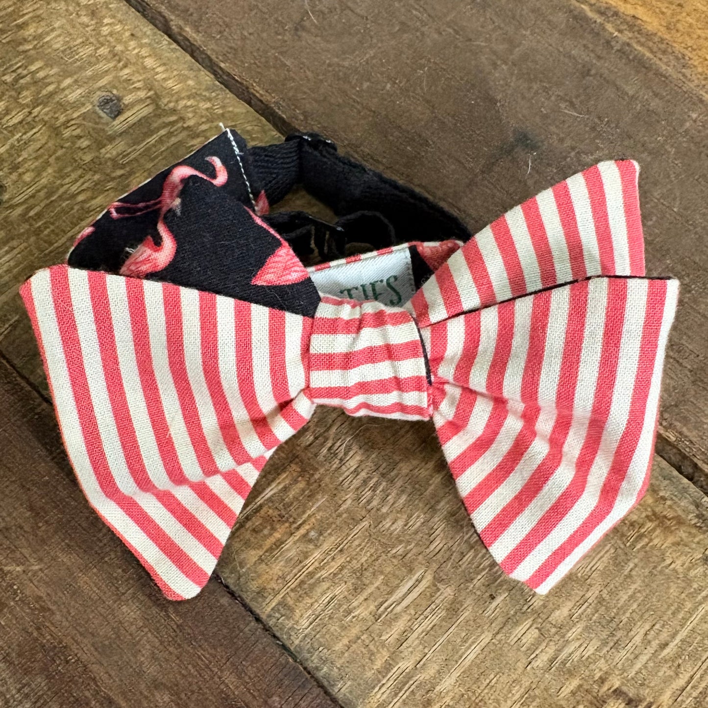 $15 Coral Bow Ties