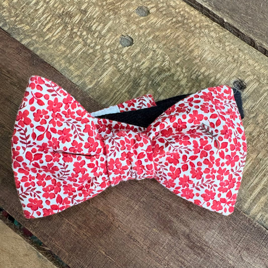 $15 Red Bow Ties