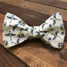 Blue Bill in Cream Bow Tie