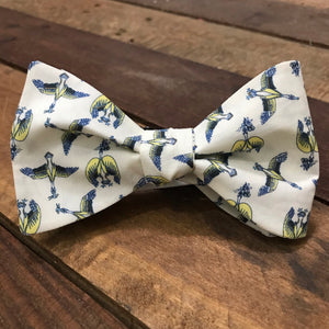 Blue Bill in Cream Bow Tie
