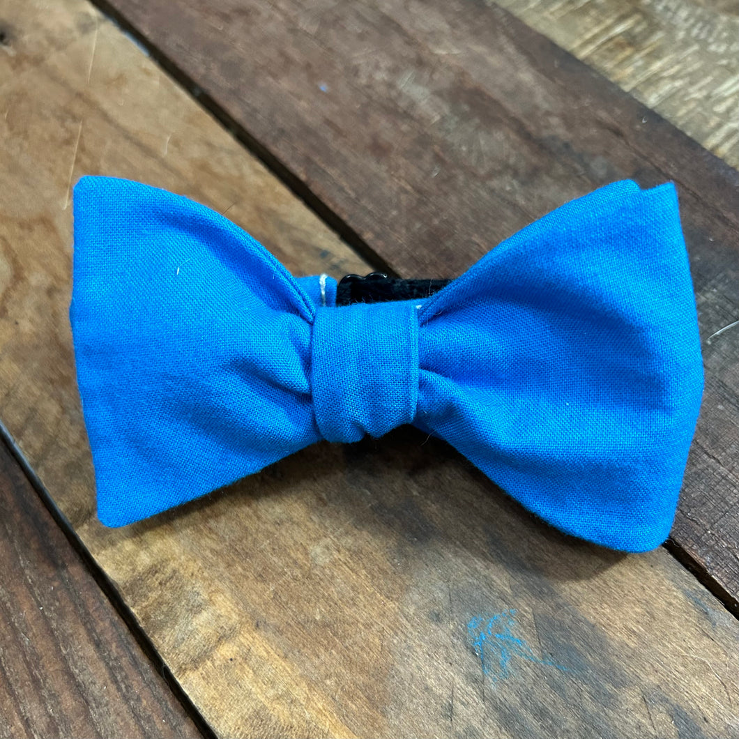 Bright Blue Bow Tie