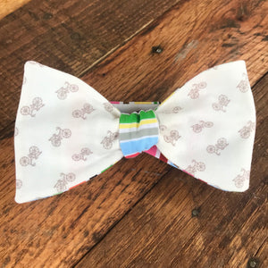 Multicolored Striped Bicycle Bow Tie
